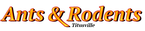 Titusville Ant Exterminator & Rodent Control Company Logo